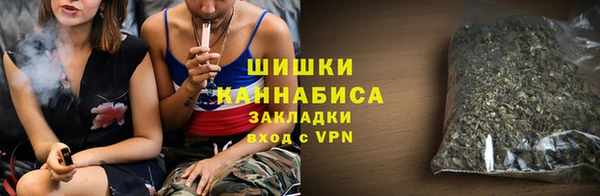шишки Алзамай