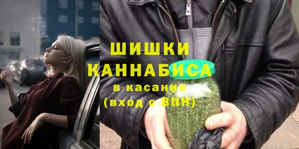 шишки Алзамай