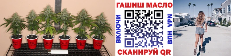 ОМГ ОМГ зеркало  Данилов  Дистиллят ТГК гашишное масло 