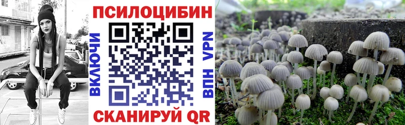Галлюциногенные грибы прущие грибы  где купить   Данилов 