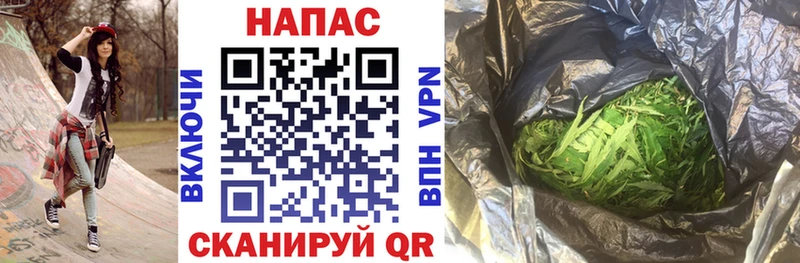 Шишки марихуана VHQ  магазин продажи наркотиков  Данилов 